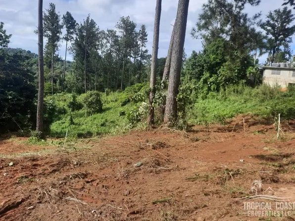 Carr 3301 Km 1.65 Parcela #A, Moca, PR 00676