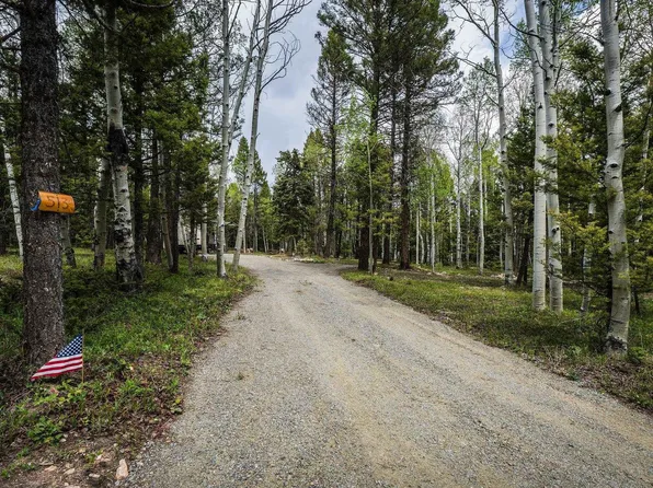 513 Crest Dr, Cimarron, CO 81220