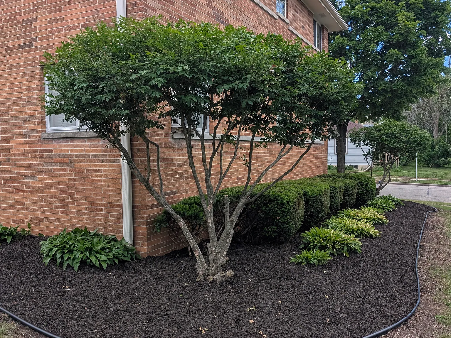 1 bed, 850 sqft, $950 — Photo 2