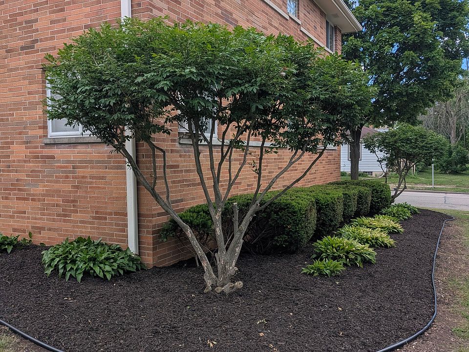 2nd image of 3946 N 93rd St