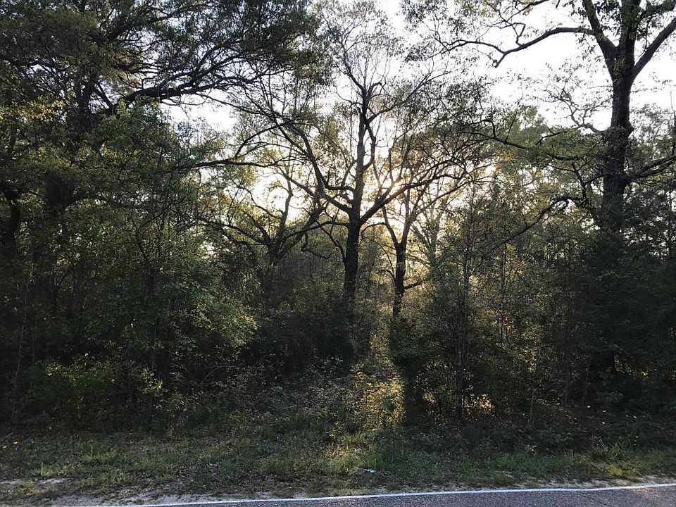 2nd image of 21819 Wortham