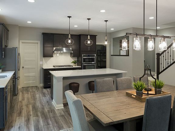 Model Representation