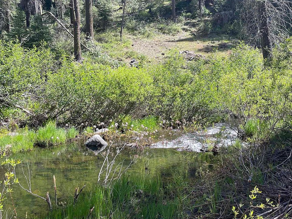 1st image of 26777 Browns Meadow Rd