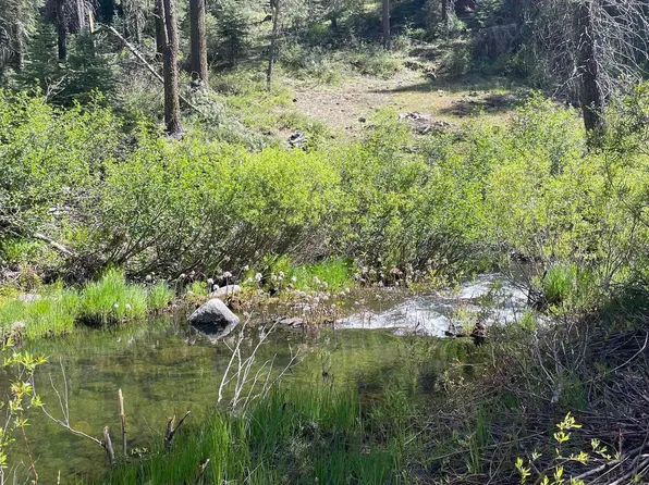 26777 Browns Meadow Rd, Long Barn, CA 95335