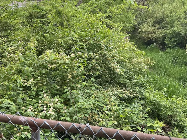 1943 N Dequincy St, Indianapolis, IN 46218