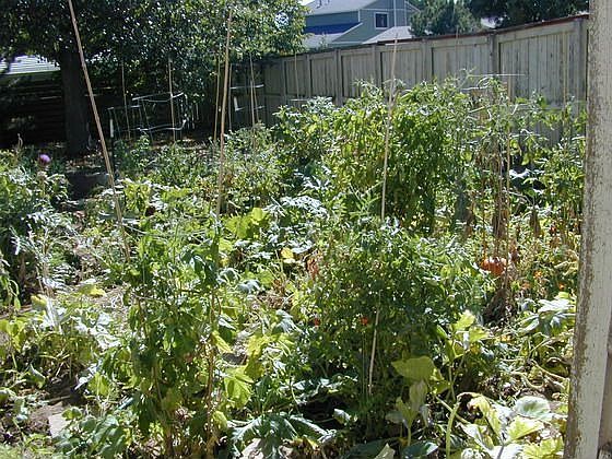 garden