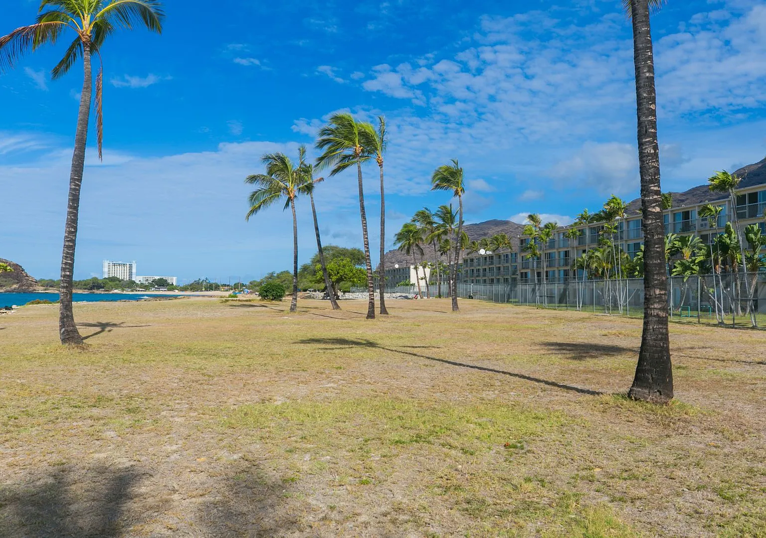 Direct ocean front 1 bed, 1 bath, covered parking, extra parking stall available for rent — Photo 3