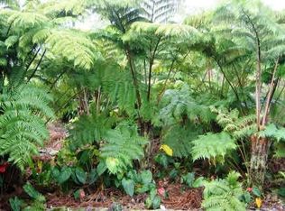 Old Volcano Rd LOT 1114, Keaau, HI 96749