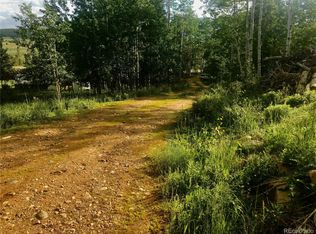 25075 Aspen Way, Clark, CO 80428