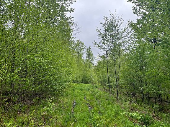 23rd image of Laplante Rd