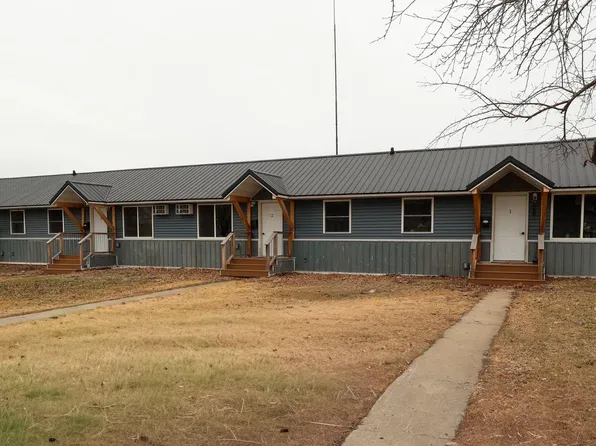 605 Carlson Pl, Henning, MN 56551