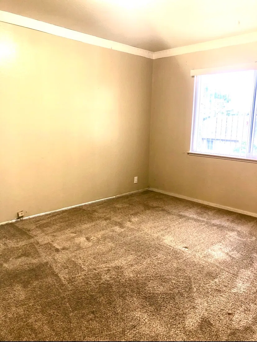 1 bed, 150 sqft, $1,300 — Photo 3