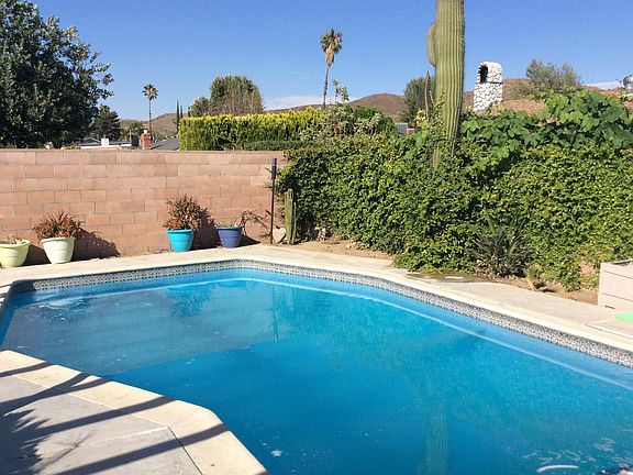 Pool with a beautiful cactus