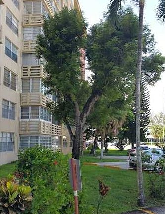3rd image of 1401 NE Miami Gardens Dr APT 797