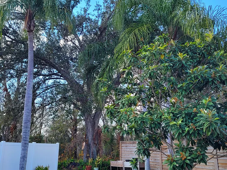 Tarpon Ct — Photo 38