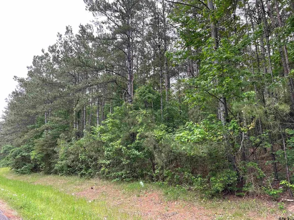 E State Highway 7, Ratcliff, TX 75858