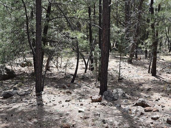 5th image of 17825 S Green Mountain Pl
