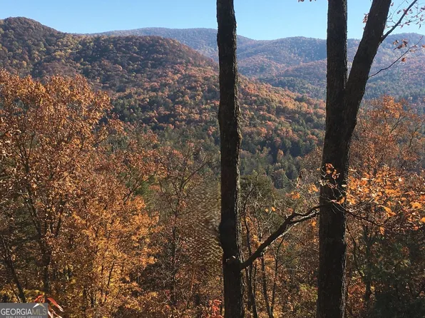 447 Creekview Dr, Ellijay, GA 30536