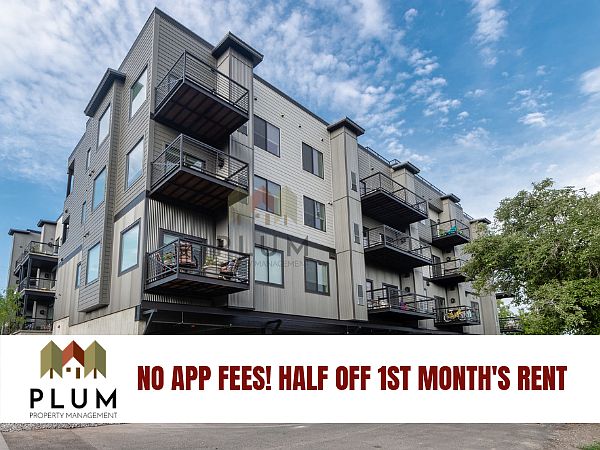 1st image of 209 Hickory St APT 202