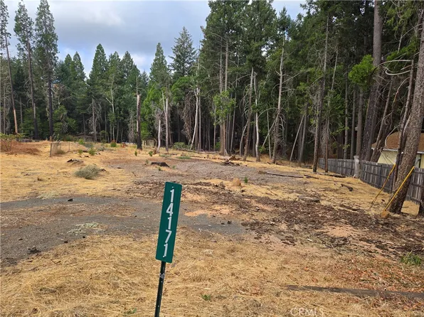 14171 Elmira Cir #101, Magalia, CA 95954