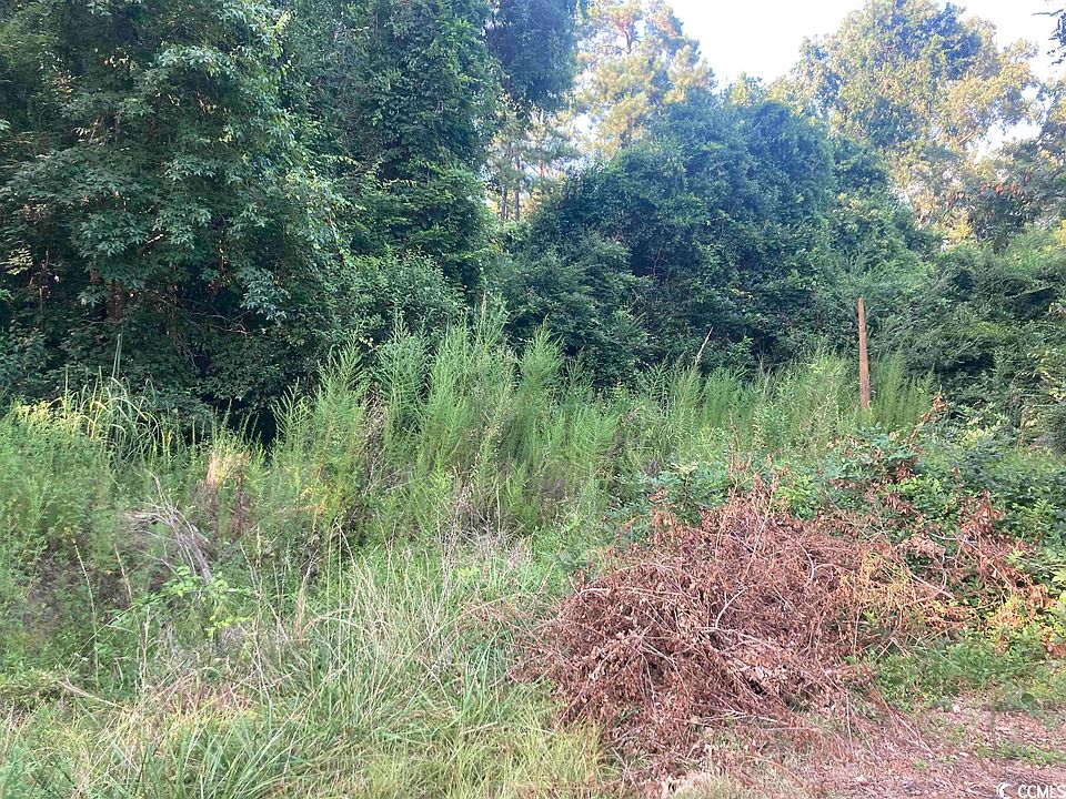 2nd image of TBD Steve Carmichael Rd.