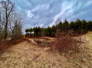 Shelor Rd SW, Meadows Of Dan, VA 24120