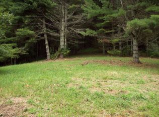 1788 Fox Creek Rd, Mouth Of Wilson, VA 24363