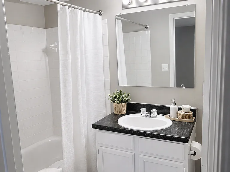Modern renovated baths