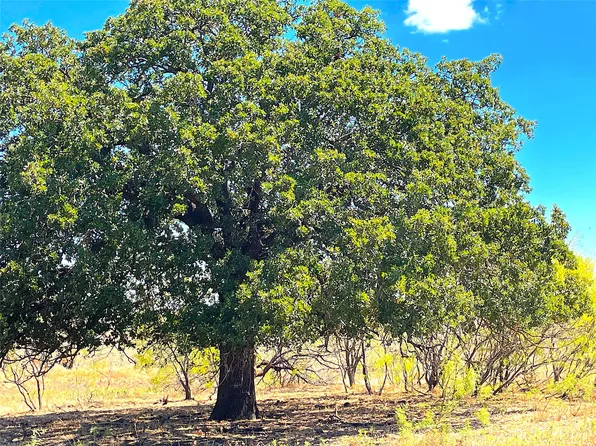 10670 Ab Hwy #281, Perrin, TX 76486