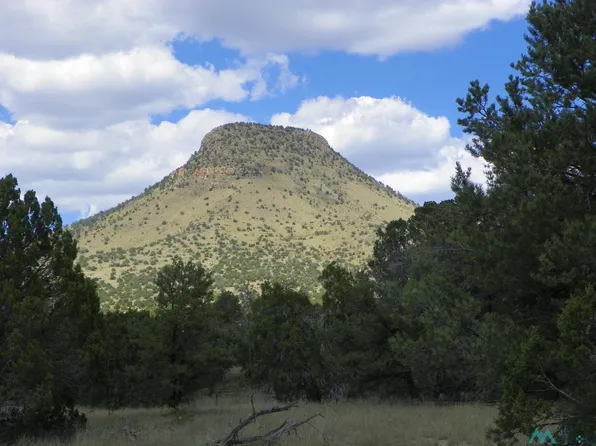 85 Northern Trl, Datil, NM 87821