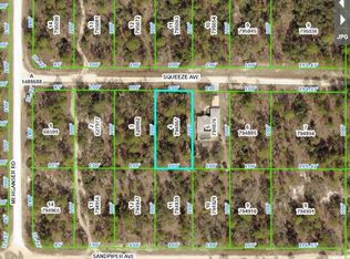 12084 Squeeze Ave #4, Brooksville, FL 34614
