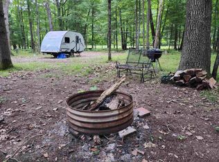 4580 Pine Run Rd, Farwell, MI 48622