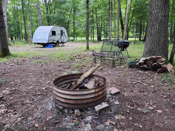 4580 Pine Run Rd, Farwell, MI 48622