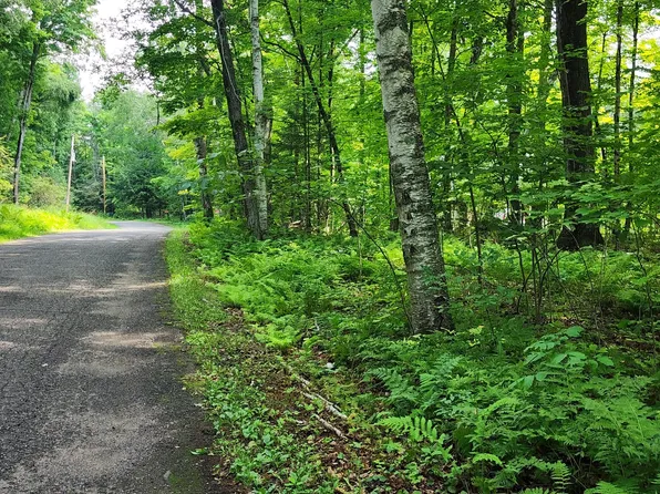 N Shore Dr Lot 12, Wabeno, WI 54566