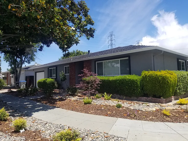 2394 Pauline Dr — Photo 2