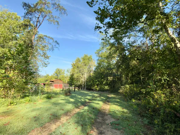 0 State Route 378 Willow, Chesapeake, OH 45619