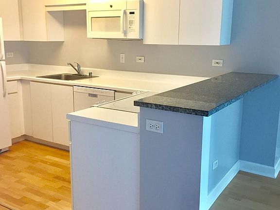 4th image of 2 E Erie St #1819