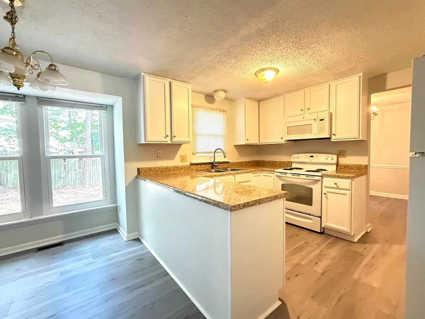 4 Bedroom Single Family Home in Cary - No HOA — Photo 3