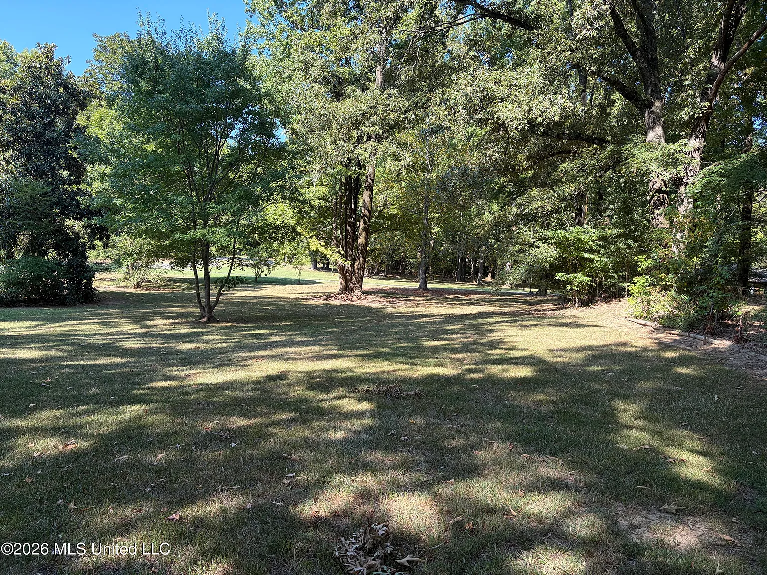 4 bed, 2.5 bath, 2619 sqft, $2,500 — Photo 2