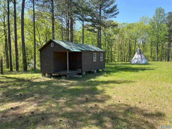 4319 County Road 76, Danville, AL 35619