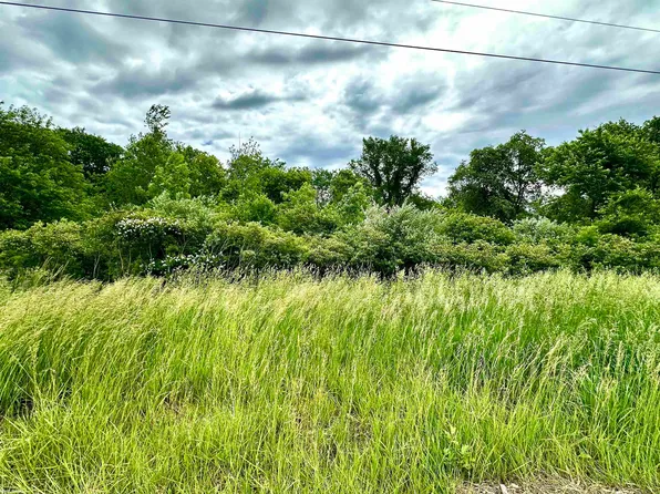 Braidwood Rd Parcel 4, Memphis, MI 48041