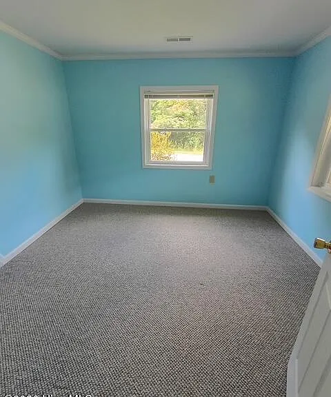 155 Vengeance Creek Rd — Photo 13