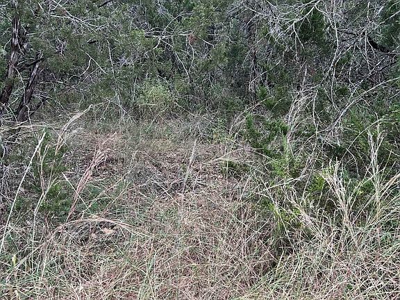 5th image of 000 TAYLOR DR, TX