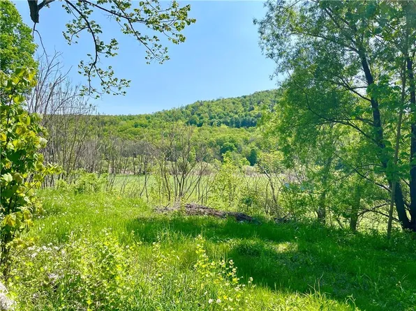 484 N Branch Callicoon Ctr Road, North Branch, NY 12766