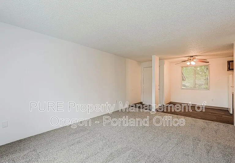 Parkway Garden — Photo 141
