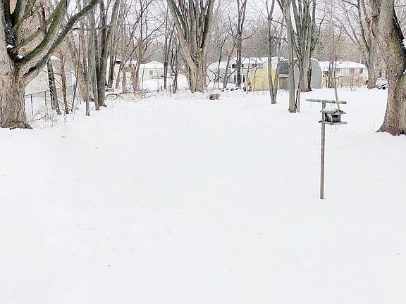 Backyard (0.5-acre lot)