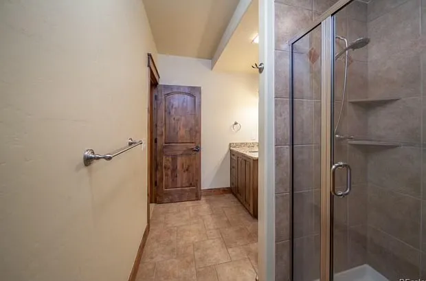 Lower level bathroom with sauna.