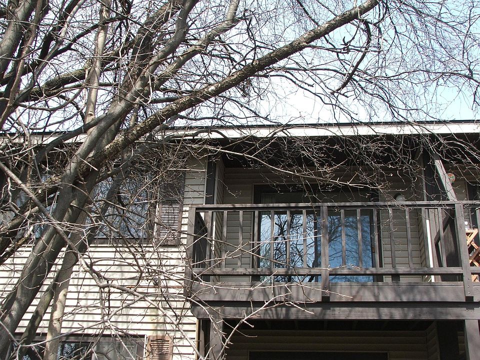 Rear Deck facing South