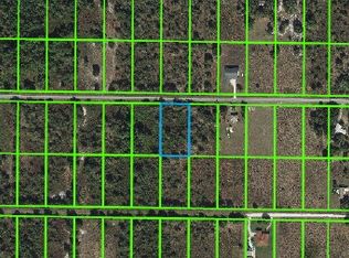 2835 W Matte Rd, Avon Park, FL 33825