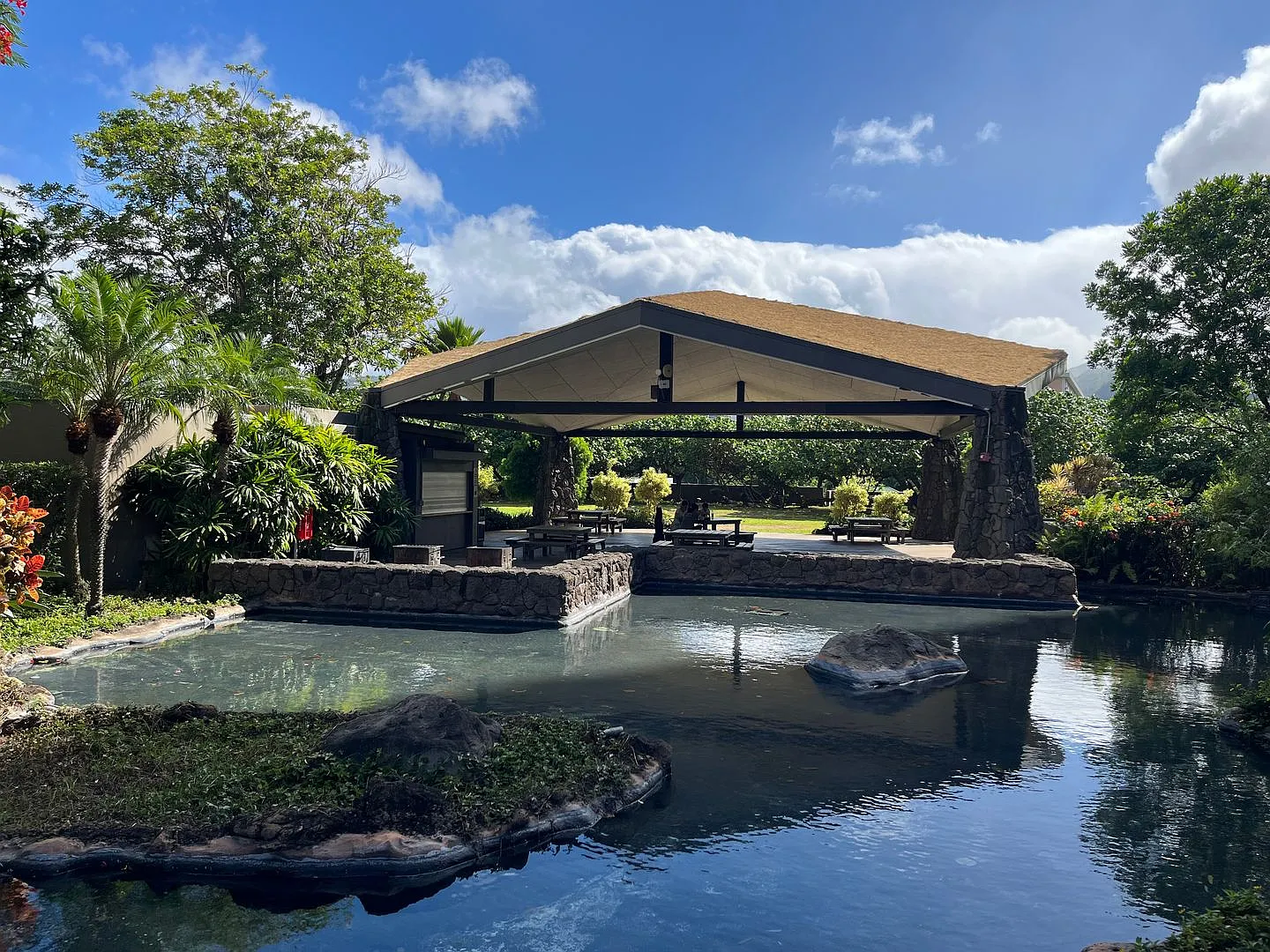 Kukui Plaza 1 bedroom, 1 bath Condo with 1 parking Avail 9/1 — Photo 3